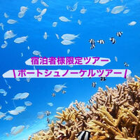 画像1486