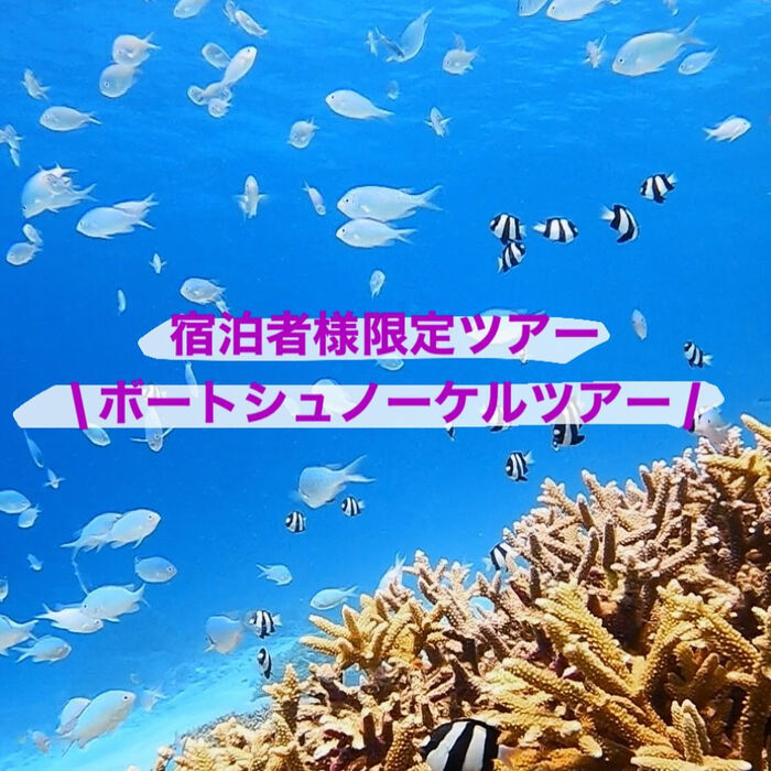 画像1486