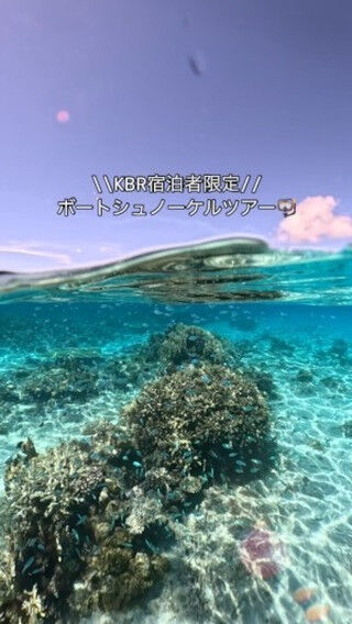 画像1495