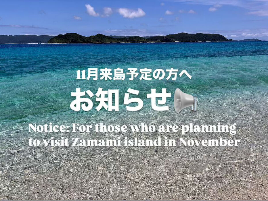 画像1501